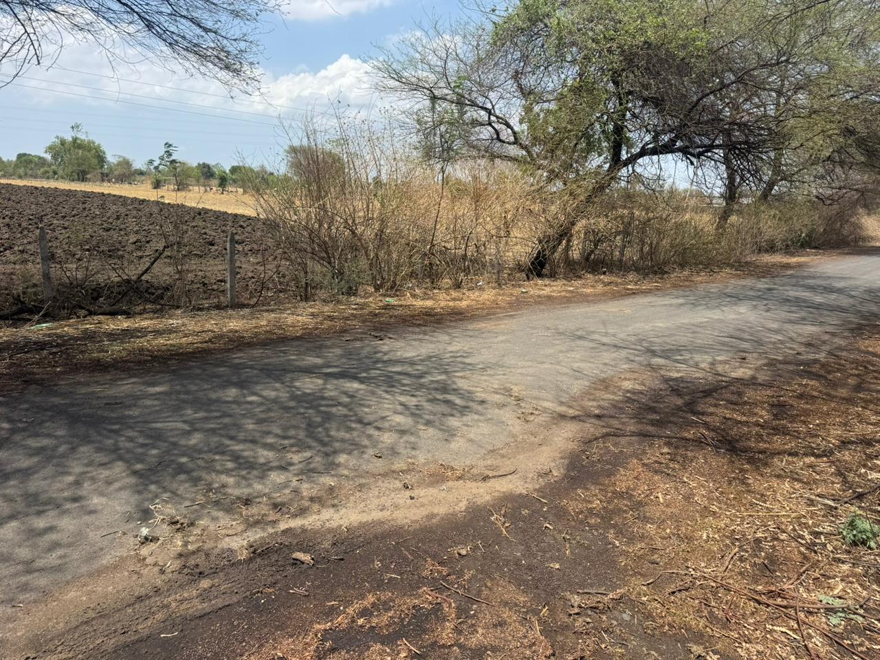 Agricultural Land in Biaora, Madhya Pradesh, India